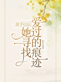《放手以后，她寻找爱过的痕迹》小说评价